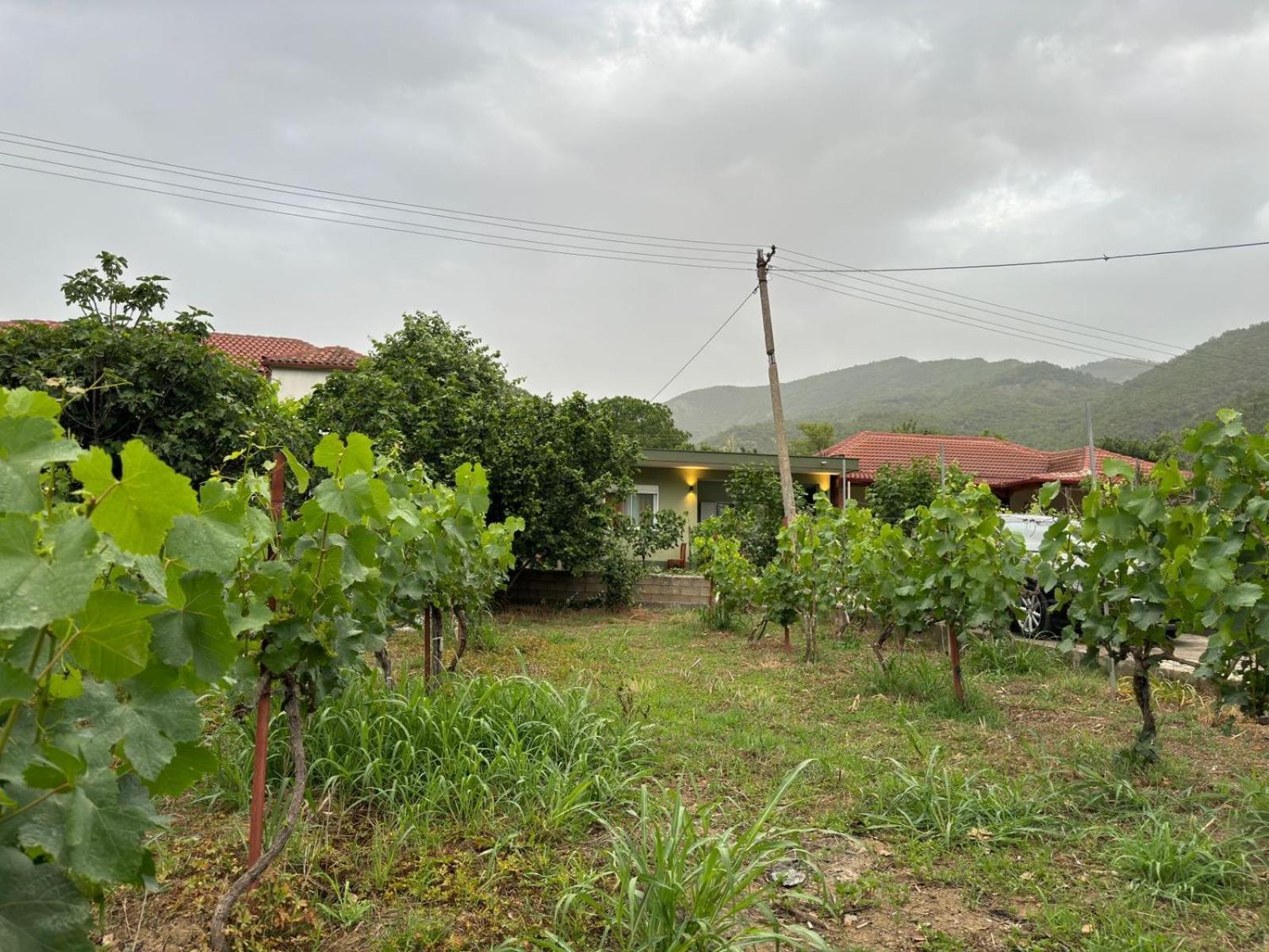 Green House Përmet 外观 照片